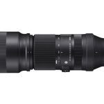 Sigma 100-400mm F5-6.3 DG DN OS Fujifilm X-mount | Contemporary